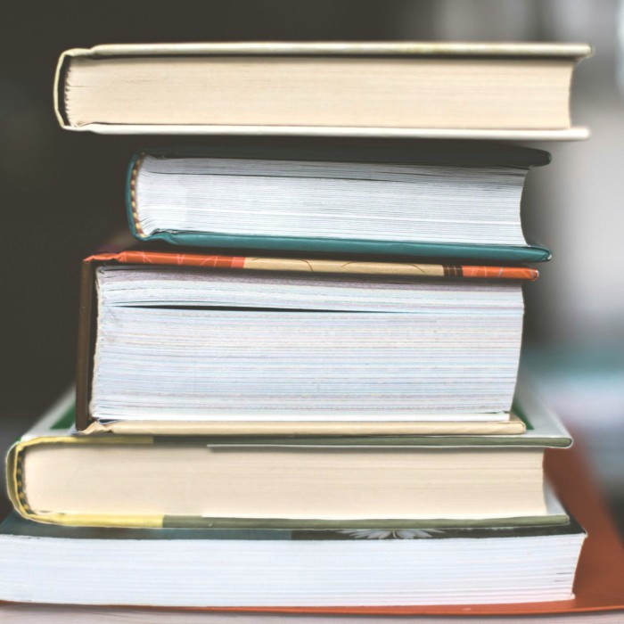 Image 3 from His Mercy Her Truth